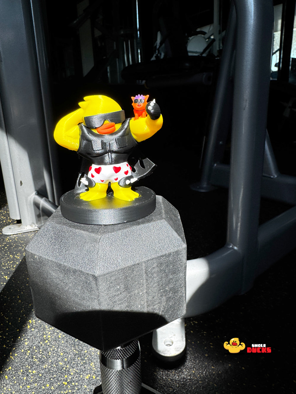 Gym Bro Dungeon Crawler SwoleDuck Carl